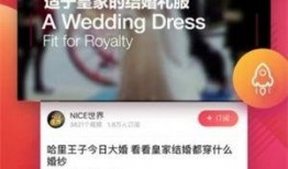 红豆技能爆料原视频,原视频深度解析
