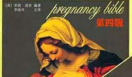 圣经在线观看,探索古老经文的现代启示