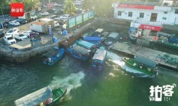 爆料视频海南陵水,揭秘神秘爆料的背后真相