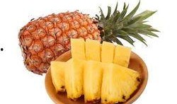 凤梨爆料视频大全最新版,最新版精彩内容大盘点