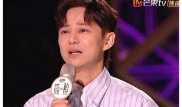 那英何炅最新爆料新闻,揭秘娱乐圈不为人知的秘密