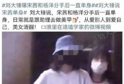 刘大锤爆料谈恋爱视频大全,恋爱视频大全，甜蜜瞬间尽收眼底
