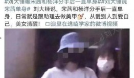 刘大锤爆料谈恋爱视频大全,恋爱视频大全，甜蜜瞬间尽收眼底