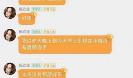 娱乐吃瓜达人,揭秘娱乐圈背后的故事