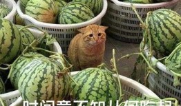 网红爆料吃瓜入口,揭秘吃瓜界的入口秘籍！