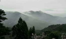 泰安景区爆料事件视频,视频揭露惊人内幕，游客权益引关注