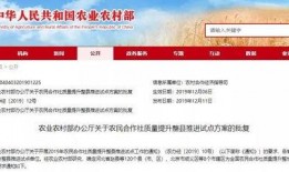 汝州热点爆料新闻视频播放,最新爆料新闻视频播放集锦