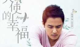天使的幸福在线观看,在线观看，探寻爱与希望的温暖之旅
