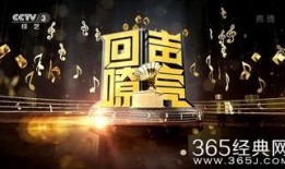 回声嘹亮在线观看,穿越时空的音波之旅