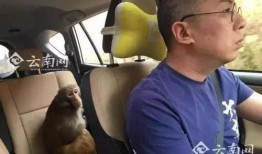 网友爆料瘦猴子视频,网友热议其减肥秘诀