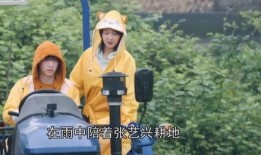 陈赫早期爆料视频,揭秘娱乐圈不为人知的幕后故事