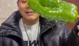 超帅网红吃瓜图片