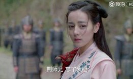 丽姬传在线观看,宫廷权谋与爱恨情仇的传奇演绎