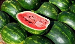 超帅网红吃瓜图片