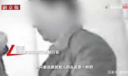 被爆料视频的名人,被爆料视频背后的真相与启示