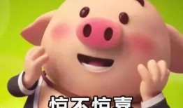 furry吃瓜表情包模板免费,笑翻你的表情包盛宴！
