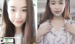 网红雪梨爆料视频播放,揭秘网红幕后生活