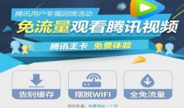 大王爆料视频下载网站,热门视频下载网站大起底