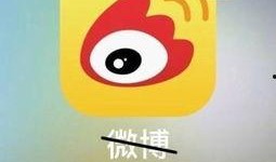 小狐狸娱乐爆料微博,娱乐圈最新动态大揭秘！