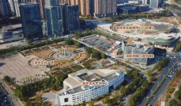 龙华大浪爆料最新消息今天,揭秘今日热点事件背后的真相