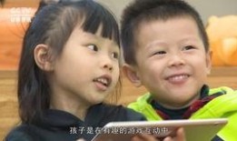 如何看鹿舅爆料的视频呢,深度解析事件背后真相