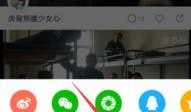 秒拍视频在线观看,精彩瞬间一网打尽