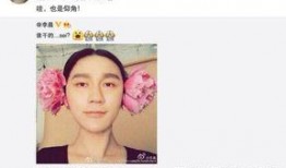 娱乐圈爆料图片模板,明星私生活大揭秘！