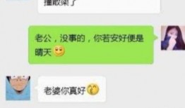 旅游爆料搞笑段子大全视频,笑翻天！旅游爆料搞笑段子大盘点