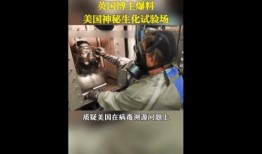 英国病毒爆料视频最新,疫情真相与应对策略深度解析
