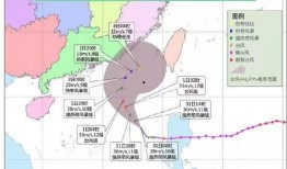海丰市最新爆料消息公布,揭秘背后惊人真相