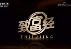 致富经在线观看,在线观看揭秘财富密码