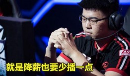 韦神终爆料视频,揭秘游戏幕后真相