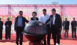 武邑爆料最新新闻报道,聚焦热点事件深度解析