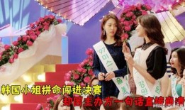 韩语小姐在线观看,跨越语言的魅力之旅
