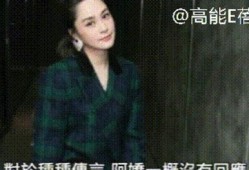 林依晨真实爆料视频,揭秘演艺生涯的酸甜苦辣