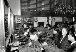 爆料八一市场事件视频,视频揭露惊人真相