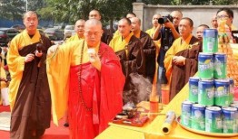 少林寺爆料视频,独家爆料视频带你领略武林传奇