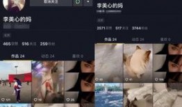 爆料不露脸的视频软件,揭秘热门不露脸视频软件背后的秘密