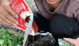 网红吃瓜吃鸡是谁发明的,揭秘这款现象级游戏的发明者之谜