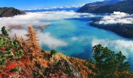 喀纳斯景区爆料事件视频,揭秘神秘事件背后的真相