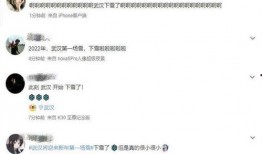 湖北网友爆料视频最新版,揭秘神秘事件真相！