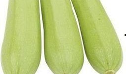 吃角瓜的网红是谁啊,揭秘网络红人的美食魅力