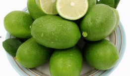 香水柠檬爆料视频播放大全,揭秘明星幕后故事