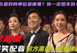 娱乐吃瓜视频用哪样配音,揭秘热门视频背后的配音秘密