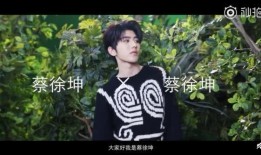 蔡徐坤被爆料的视频大全,揭秘明星背后的真相
