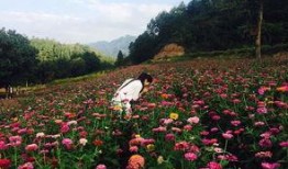 爆料半亩花田视频大全集,揭秘美丽秘诀与护肤心得