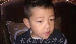 石头妈妈爆料大芳视频,揭秘背后惊人内幕