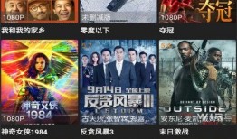 黑暗麻辣爆料视频下载,视频下载背后的真相与争议
