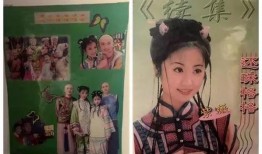 娱乐圈吃瓜采访,明星幕后故事大曝光