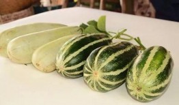 网红爆料吃瓜入口,揭秘吃瓜界的入口秘籍！